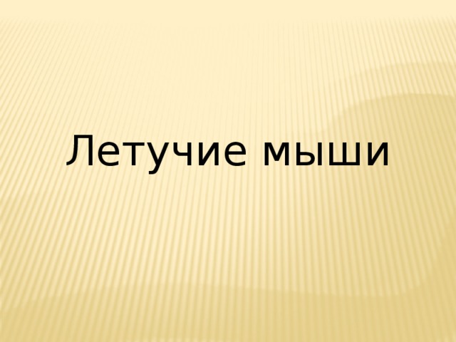 Летучие мыши 