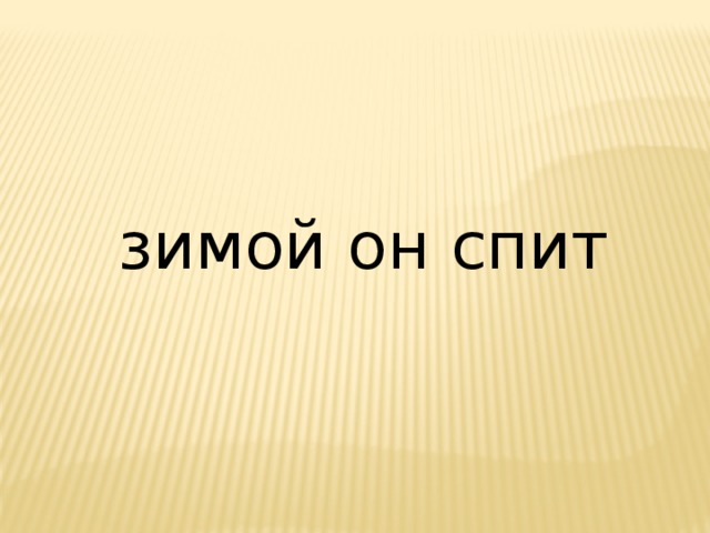 зимой он спит 