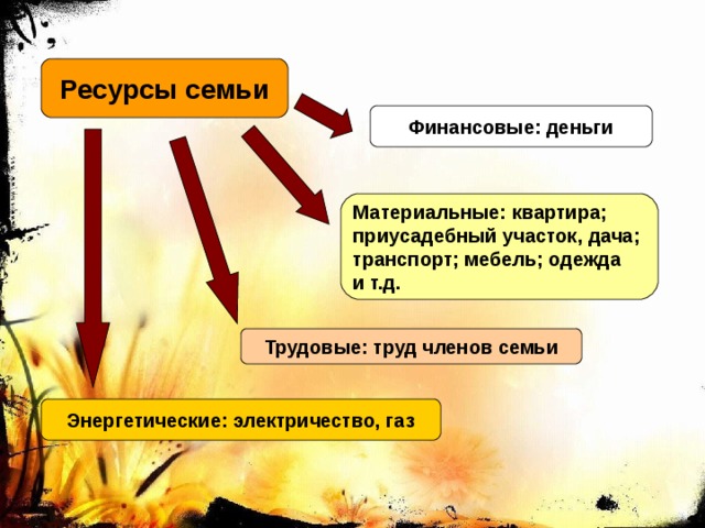 Ресурсы семьи Финансовые: деньги Материальные: квартира; приусадебный участок, дача; транспорт; мебель; одежда и т.д.  Трудовые: труд членов семьи Энергетические: электричество, газ 