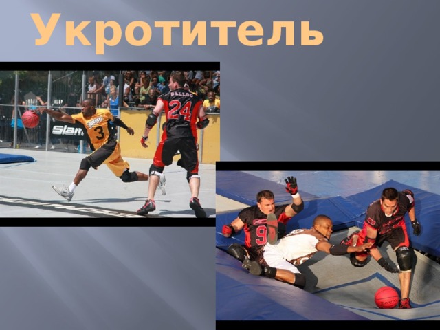 Укротитель 