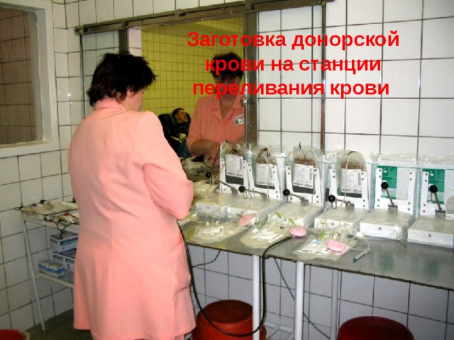 Заготовка донорской крови на станции переливания крови  