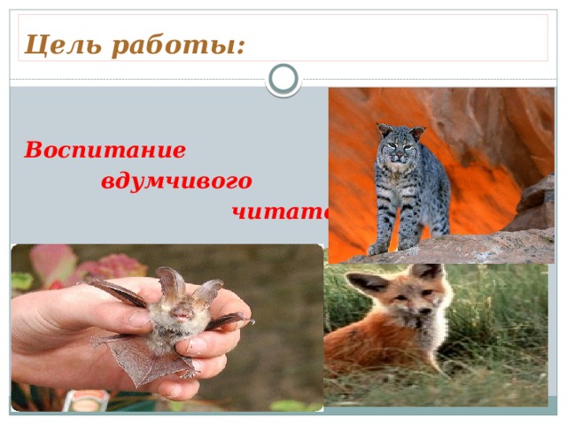 Цель работы: Воспитание  вдумчивого  читателя  