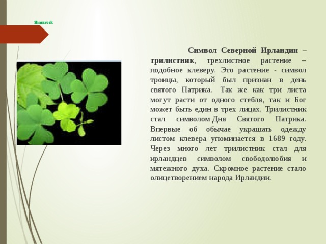   Shamrock      Символ Северной Ирландии – трилистник , трехлистное растение – подобное клеверу. Это растение - символ троицы, который был признан в день святого Патрика.  Так же как три листа могут расти от одного стебля, так и Бог может быть един в трех лицах. Трилистник стал символом Дня Святого Патрика. Впервые об обычае украшать одежду листом клевера упоминается в 1689 году. Через много лет трилистник стал для ирландцев символом свободолюбия и мятежного духа. Скромное растение стало олицетворением народа Ирландии. 