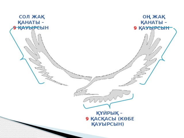 СОЛ ЖАҚ ҚАНАТЫ – 9 ҚАУЫРСЫН ОҢ ЖАҚ ҚАНАТЫ – 9 ҚАУЫРСЫН ҚҰЙРЫҚ – 9 ҚАСҚАСЫ (КӨБЕ ҚАУЫРСЫН) 