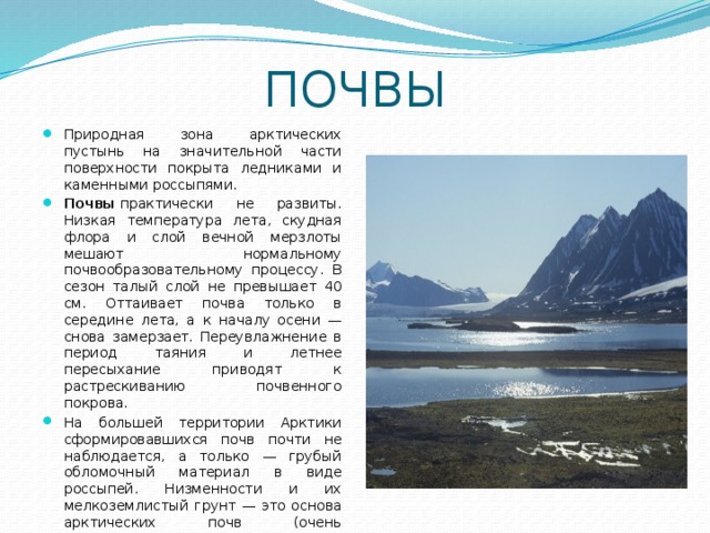 ПОЧВЫ Природная зона арктических пустынь на значительной части поверхности покрыта ледниками и каменными россыпями.  Почвы  практически не развиты. Низкая температура лета, скудная флора и слой вечной мерзлоты мешают нормальному почвообразовательному процессу. В сезон талый слой не превышает 40 см. Оттаивает почва только в середине лета, а к началу осени — снова замерзает. Переувлажнение в период таяния и летнее пересыхание приводят к растрескиванию почвенного покрова. На большей территории Арктики сформировавшихся почв почти не наблюдается, а только — грубый обломочный материал в виде россыпей. Низменности и их мелкоземлистый грунт — это основа арктических почв (очень маломощных, безо всяких признаков оглинивания). Арктические ожелезненные , слабокислые, почти нейтральные, почвы имеют бурую окраску 