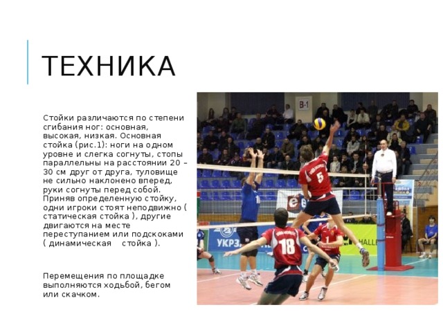 техника Стойки различаются по степени сгибания ног: основная, высокая, низкая. Основная стойка (рис.1): ноги на одном уровне и слегка согнуты, стопы параллельны на расстоянии 20 – 30 см друг от друга, туловище не сильно наклонено вперед, руки согнуты перед собой. Приняв определенную стойку, одни игроки стоят неподвижно ( статическая стойка ), другие двигаются на месте переступанием или подскоками ( динамическая стойка ). Перемещения по площадке выполняются ходьбой, бегом или скачком. 