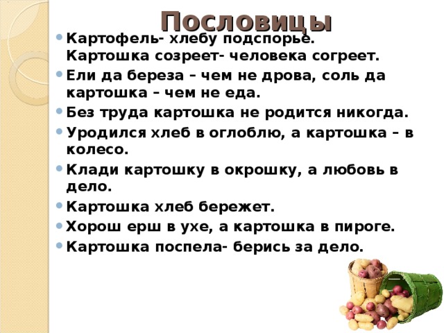 Пословицы Картофель- хлебу подспорье.  Картошка созреет- человека согреет. Ели да береза – чем не дрова, соль да картошка – чем не еда. Без труда картошка не родится никогда. Уродился хлеб в оглоблю, а картошка – в колесо. Клади картошку в окрошку, а любовь в дело. Картошка хлеб бережет. Хорош ерш в ухе, а картошка в пироге. Картошка поспела- берись за дело. 