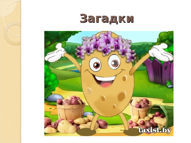 Загадки  