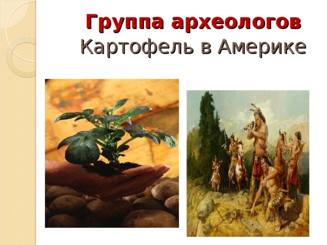 Группа археологов Картофель в Америке 