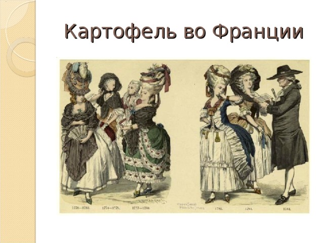 Картофель во Франции 