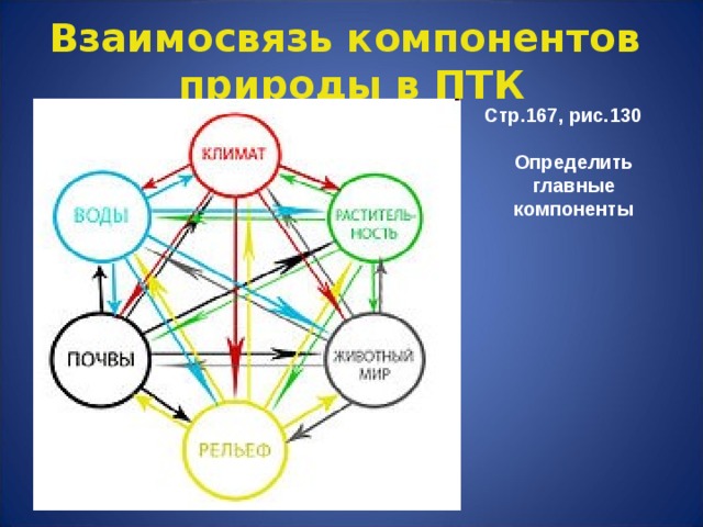 Взаимосвязь компонентов природы в ПТК Стр.167, рис.130  Определить главные компоненты  