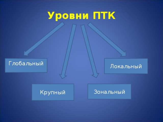 Уровни ПТК Глобальный Локальный Крупный Зональный 