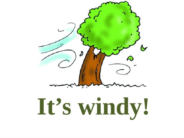 It’s windy! 