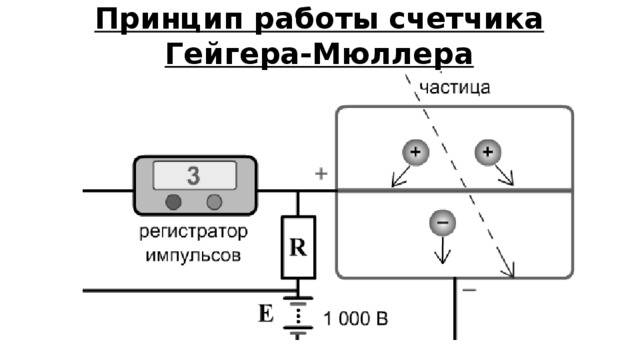 Принцип работы счетчика Гейгера-Мюллера 