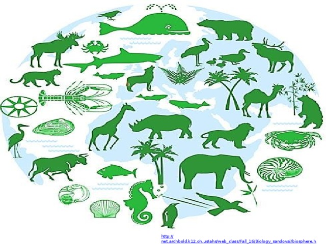 http:// net.archbold.k12.oh.us/ahs/web_class/Fall_16/Biology_sandoval/biosphere.html 