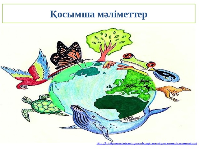 Қосымша мәліметтер http ://trinitynews.ie/saving-our-biosphere-why-we-need-conservation / 
