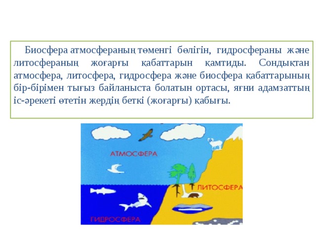  Биосфера атмосфераның төменгі бөлігін, гидросфераны және литосфераның жоғарғы қабаттарын қамтиды. Сондықтан атмосфера, литосфера, гидросфера және биосфера қабаттарының бір-бірімен тығыз байланыста болатын ортасы, яғни адамзаттың іс-әрекеті өтетін жердің беткі (жоғарғы) қабығы. 