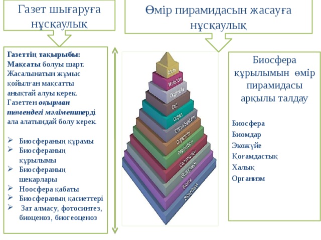 Өмір пирамидасын жасауға нұсқаулық Газет шығаруға нұсқаулық Газеттің тақырыбы: Мақсаты болуы шарт. Жасалынатын жұмыс қойылған мақсатты анықтай алуы керек. Газеттен оқырман төмендегі мәліметте рді ала алатындай болу керек. Биосфераның құрамы Биосфераның құрылымы Биосфераның шекарлары Ноосфера қабаты Биосфераның қасиеттері  Зат алмасу, фотосинтез, биоценоз, биогеоценоз Биосфера құрылымын өмір пирамидасы арқылы талдау Биосфера Биомдар Экожүйе Қоғамдастық Халық Организм 