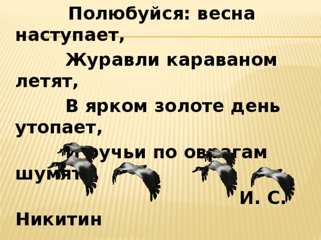  Полюбуйся: весна наступает,  Журавли караваном летят,  В ярком золоте день утопает,  И ручьи по оврагам шумят…  И. С. Никитин 