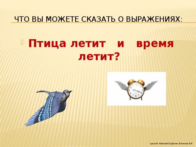 Что вы можете сказать о выражениях : Птица летит и время летит? 