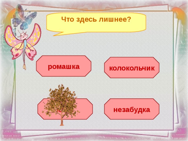 Что здесь лишнее? ромашка колокольчик клён незабудка 