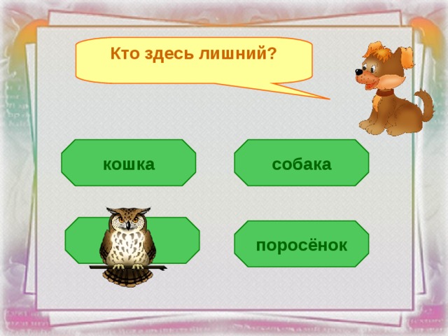 Кто здесь лишний? кошка собака сова поросёнок 