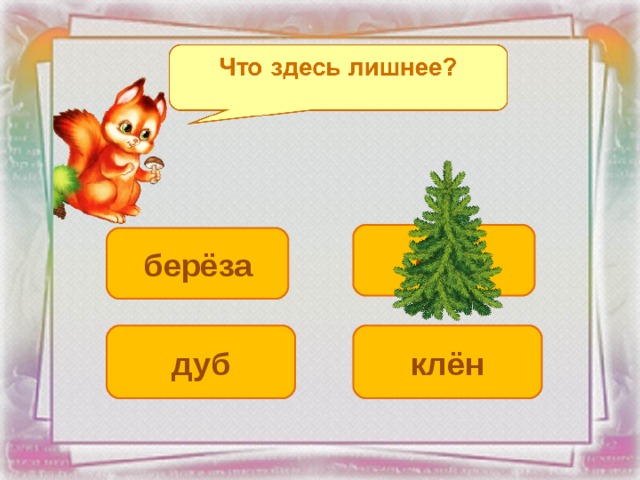 ель берёза клён дуб  
