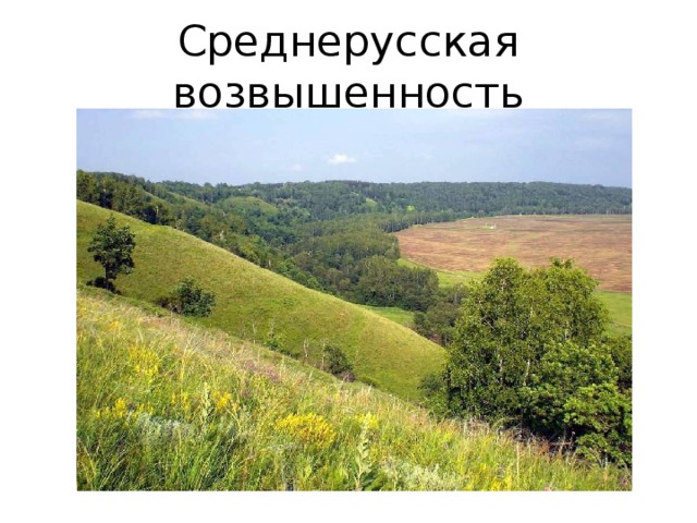 Среднерусская возвышенность 