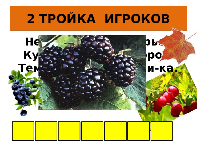 2 ТРОЙКА ИГРОКОВ Не на шутку, а всерьез Куст колючками оброс. Темных ягодок сорви-ка. Что за кустик? А В Е К Ж Е И 