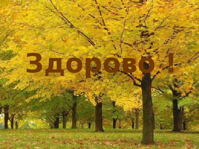 Здорово ! 