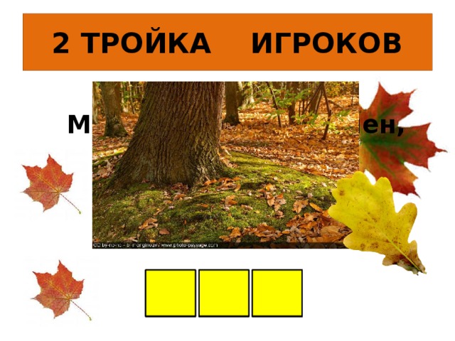 2 ТРОЙКА ИГРОКОВ Мягок, а не пух, зелен, а не трава ? М О Х 
