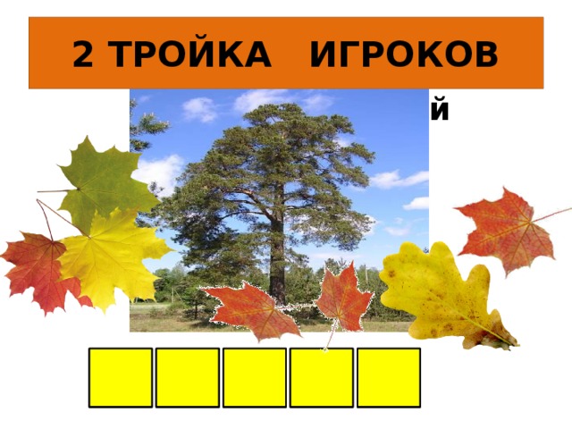 2 ТРОЙКА ИГРОКОВ У меня длинней иголки,  Чем у самой рослой ёлки..   А Н С О С 