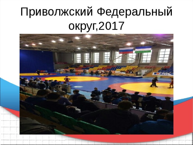 Приволжский Федеральный округ,2017 