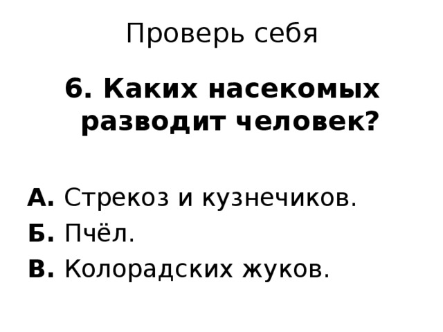 Проверь себя 6. Каких насекомых разводит человек?  А. Стрекоз и кузнечиков. Б. Пчёл. В. Колорадских жуков. 
