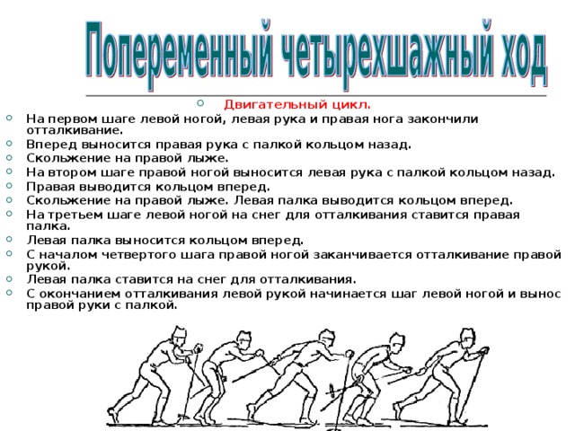 Двигательный цикл. На первом шаге левой ногой, левая рука и правая нога закончили отталкивание. Вперед выносится правая рука с палкой кольцом назад. Скольжение на правой лыже. На втором шаге правой ногой выносится левая рука с палкой кольцом назад. Правая выводится кольцом вперед. Скольжение на правой лыже. Левая палка выводится кольцом вперед. На третьем шаге левой ногой на снег для отталкивания ставится правая палка. Левая палка выносится кольцом вперед. С началом четвертого шага правой ногой заканчивается отталкивание правой рукой. Левая палка ставится на снег для отталкивания. С окончанием отталкивания левой рукой начинается шаг левой ногой и вынос правой руки с палкой.   
