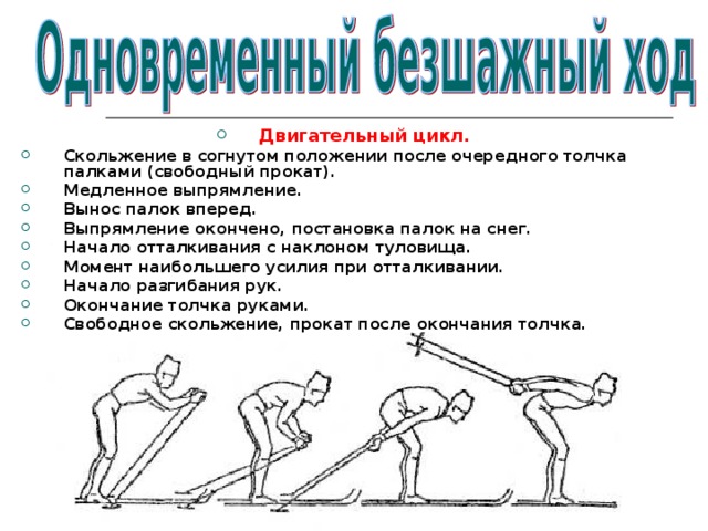 Двигательный цикл. Скольжение в согнутом положении после очередного толчка  палками (свободный прокат). Медленное выпрямление. Вынос палок вперед. Выпрямление окончено, постановка палок на снег. Начало отталкивания с наклоном туловища. Момент наибольшего усилия при отталкивании. Начало разгибания рук. Окончание толчка руками. Свободное скольжение, прокат после окончания толчка.   