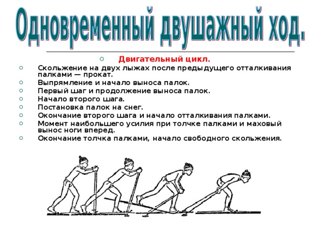 Двигательный цикл. Скольжение на двух лыжах после предыдущего отталкивания палками — прокат. Выпрямление и начало выноса палок. Первый шаг и продолжение выноса палок. Начало второго шага. Постановка палок на снег. Окончание второго шага и начало отталкивания палками. Момент наибольшего усилия при толчке палками и маховый  вынос ноги вперед. Окончание толчка палками, начало свободного скольжения.  