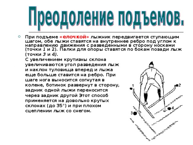 При подъеме «елочкой» лыжник передвигается ступающим шагом, обе лыжи ставятся на внутреннее ребро под углом к направлению движения с разведенными в сторону носками (точки 1 и 2). Палки для опоры ставятся по бокам позади лыж  (точки 3 и 4).  С увеличением крутизны склона  увеличиваются угол разведения лыж  и наклон туловища вперед и лыжа  еще больше ставится на ребро. При  шаге нога выносится согнутая в  колене, ботинок развернут в сторону,  задник одной лыжи переносится  через задник другой Этот способ  применяется на довольно крутых  склонах (до 35°) и при плохом  сцеплении лыж со снегом. 