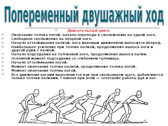 Двигательный цикл. Окончание толчка ногой, начало перехода к скольжению на одной ноге. Свободное скольжение на опорной ноге. Начало отталкивания палкой, нога маховым движением выносится вперед. Наибольшее усиление при толчке палкой, продолжение выноса ноги и другой руки с палкой. Начало подседания на толчковой ноге, продолжение выноса палки. Основной момент подседания со сгибанием туловища. Начало отталкивания ногой. Момент окончания толчка палкой, продолжение толчка ногой. Момент окончания толчка ногой. Все движения ногами выполняются как при скользящем шаге, добавляются только толчки палками. Главное при этом — сочетание работы рук и ног. 