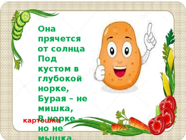 Она прячется от солнца  Под кустом в глубокой норке,  Бурая – не мишка,  В норке – но не мышка.   картошка 