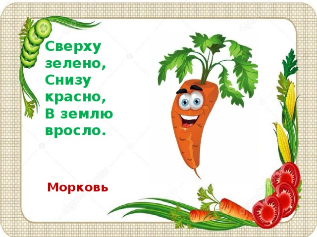 Сверху зелено,  Снизу красно,  В землю вросло.    Морковь  