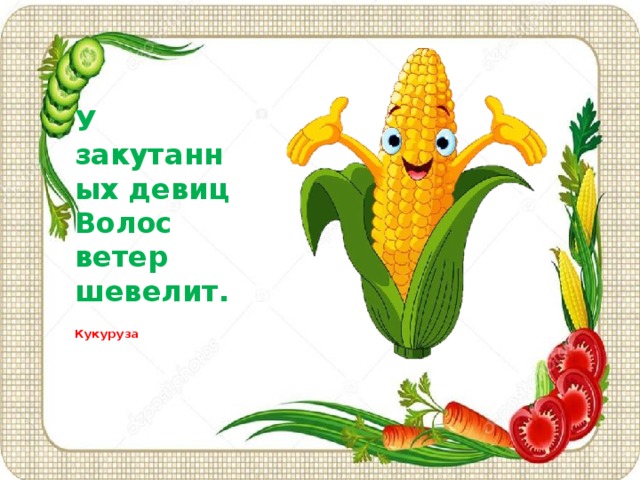 У закутанных девиц  Волос ветер шевелит.   Кукуруза 