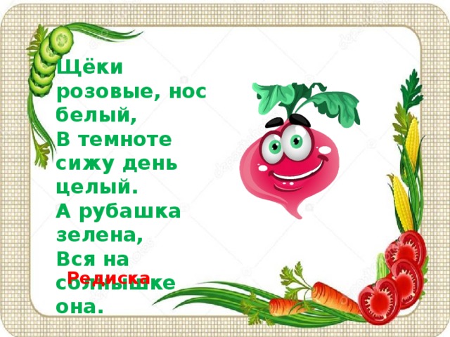 Щёки розовые, нос белый,  В темноте сижу день целый.  А рубашка зелена,  Вся на солнышке она. Редиска 
