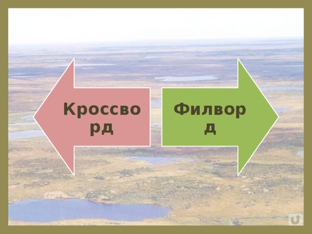 Кроссворд Филворд