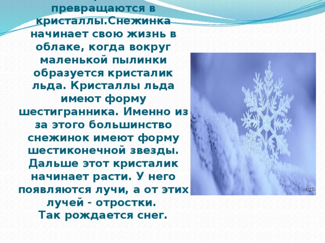 Затем в интернете я узнала : что снежинки это капельки воды в облаках, когда холодно они замерзают и превращаются в кристаллы.Снежинка начинает свою жизнь в облаке, когда вокруг маленькой пылинки образуется кристалик льда. Кристаллы льда имеют форму шестигранника. Именно из за этого большинство снежинок имеют форму шестиконечной звезды. Дальше этот кристалик начинает расти. У него появляются лучи, а от этих лучей - отростки.  Так рождается снег. 
