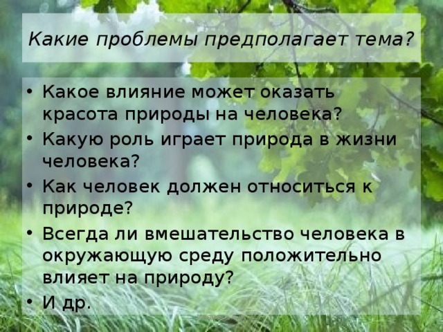 Какие проблемы предполагает тема? Какое влияние может оказать красота природы на человека? Какую роль играет природа в жизни человека? Как человек должен относиться к природе? Всегда ли вмешательство человека в окружающую среду положительно влияет на природу? И др. Иванова А.В. 
