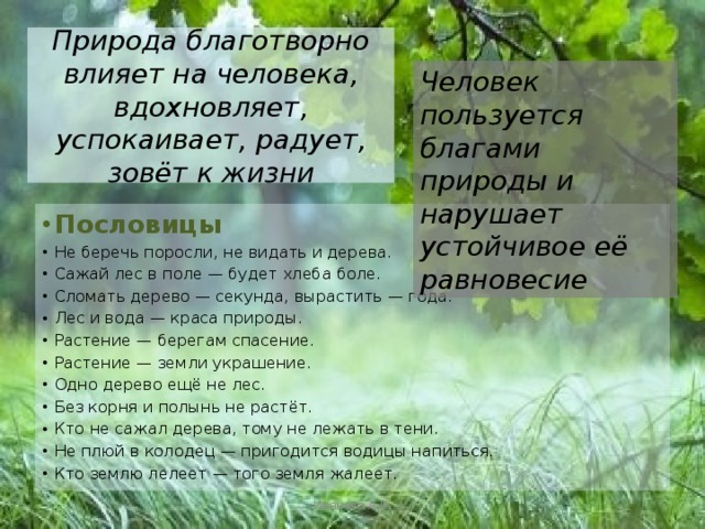 Природа благотворно влияет на человека, вдохновляет, успокаивает, радует, зовёт к жизни Человек пользуется благами природы и нарушает устойчивое её равновесие Пословицы Не беречь поросли, не видать и дерева. Сажай лес в поле — будет хлеба боле. Сломать дерево — секунда, вырастить — года. Лес и вода — краса природы. Растение — берегам спасение. Растение — земли украшение. Одно дерево ещё не лес. Без корня и полынь не растёт. Кто не сажал дерева, тому не лежать в тени. Не плюй в колодец — пригодится водицы напиться. Кто землю лелеет — того земля жалеет. Иванова А.В. 