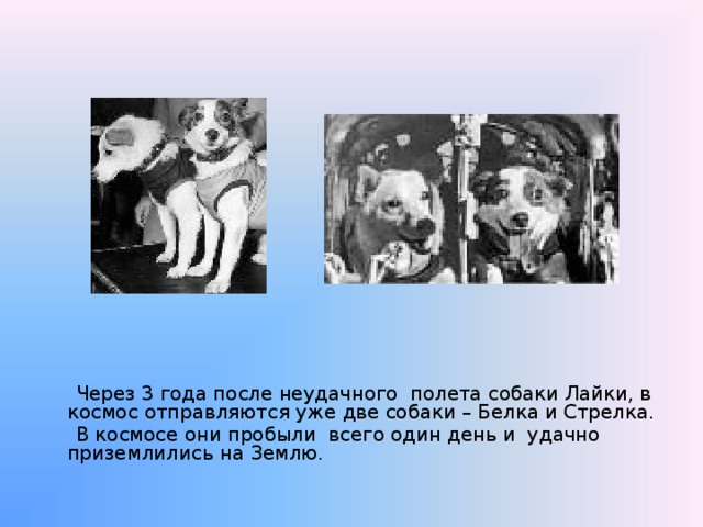  Через 3 года после неудачного полета собаки Лайки, в космос отправляются уже две собаки – Белка и Стрелка.  В космосе они пробыли всего один день и удачно приземлились на Землю. 