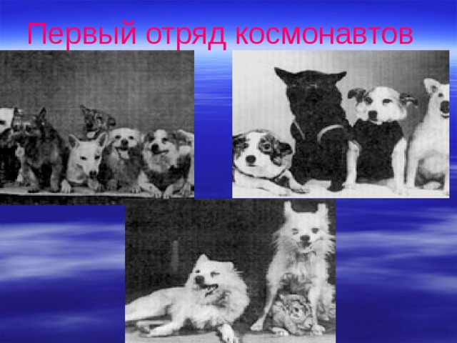 Первый отряд космонавтов  