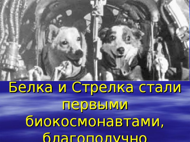 Белка и Стрелка стали первыми биокосмонавтами, благополучно вернувшимися на Землю  